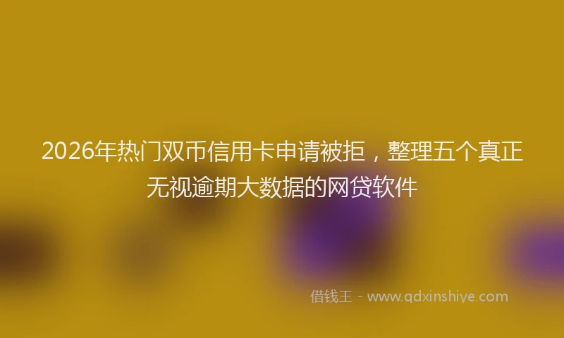 2026年热门双币信用卡申请被拒，整理五个真正无视逾期大数据的网贷软件