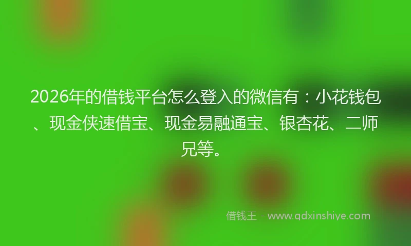 2026年的借钱平台怎么登入的微信有：小花钱包、现金侠速借宝、现金易融通宝、银杏花、二师兄等。