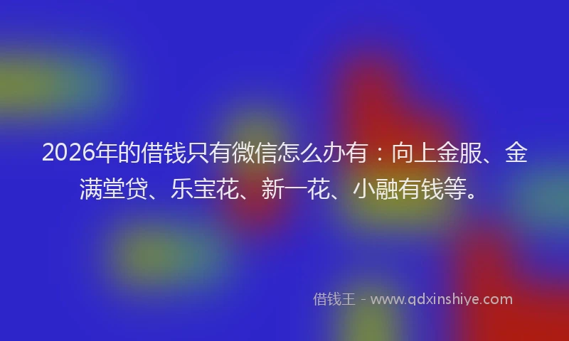 2026年的借钱只有微信怎么办有：向上金服、金满堂贷、乐宝花、新一花、小融有钱等。