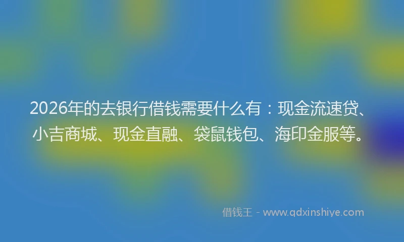 2026年的去银行借钱需要什么有：现金流速贷、小吉商城、现金直融、袋鼠钱包、海印金服等。