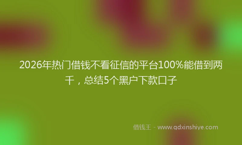 2026年热门借钱不看征信的平台100%能借到两千，总结5个黑户下款口子