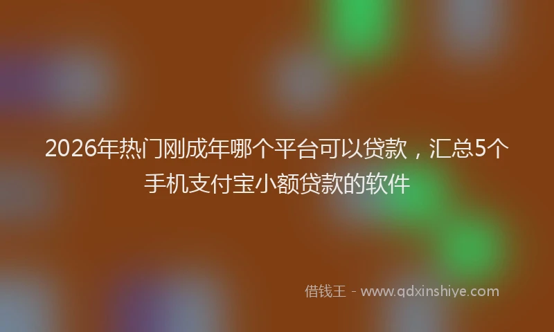 2026年热门刚成年哪个平台可以贷款，汇总5个手机支付宝小额贷款的软件