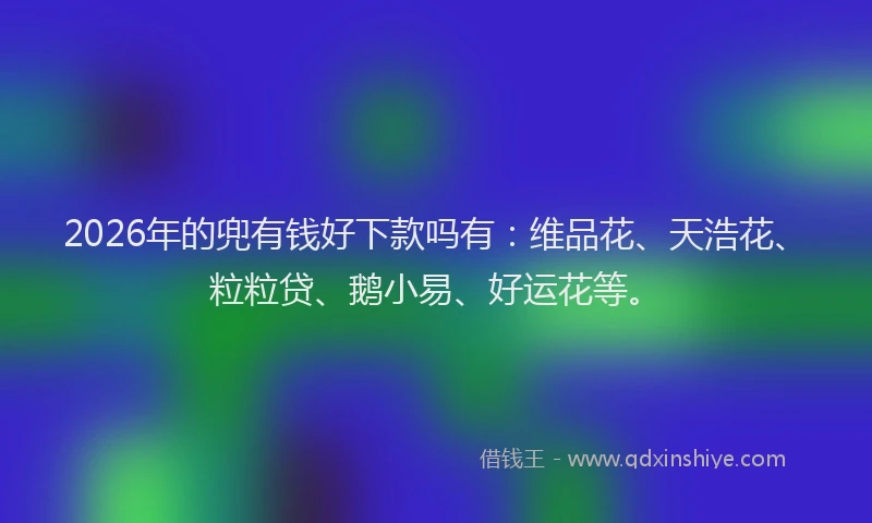 2026年的兜有钱好下款吗有：维品花、天浩花、粒粒贷、鹅小易、好运花等。