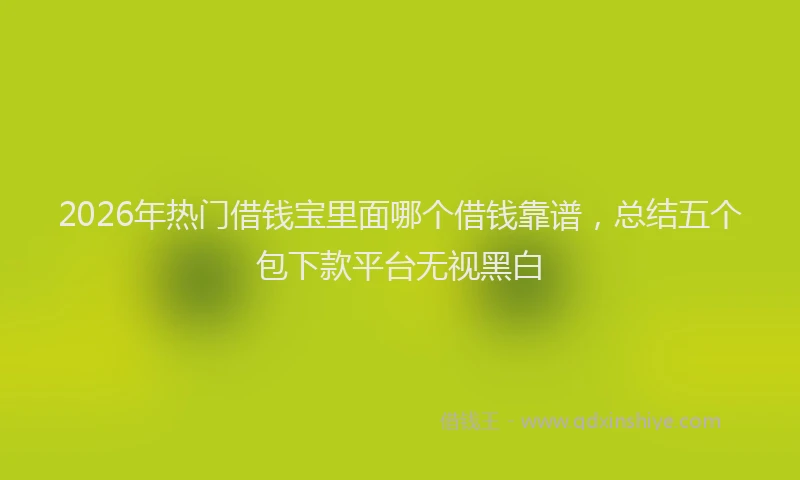 2026年热门借钱宝里面哪个借钱靠谱，总结五个包下款平台无视黑白