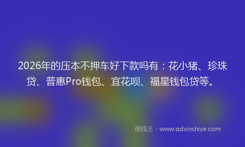 2026年的压本不押车好下款吗有：花小猪、珍珠贷、普惠Pro钱包、宜花呗、福星钱包贷等。