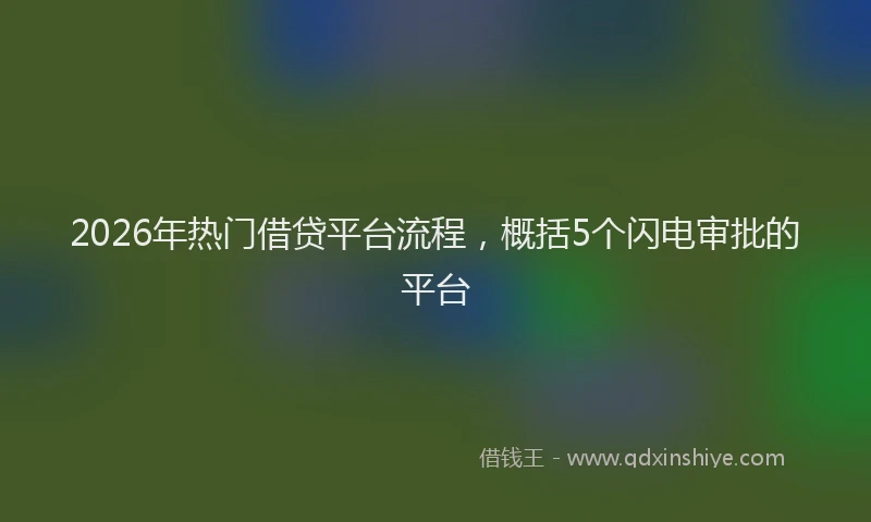 2026年热门借贷平台流程，概括5个闪电审批的平台