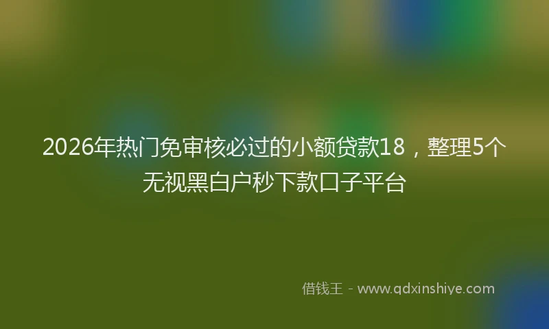 2026年热门免审核必过的小额贷款18，整理5个无视黑白户秒下款口子平台