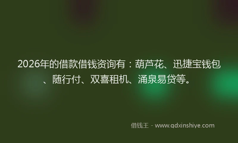 2026年的借款借钱资询有：葫芦花、迅捷宝钱包、随行付、双喜租机、涌泉易贷等。