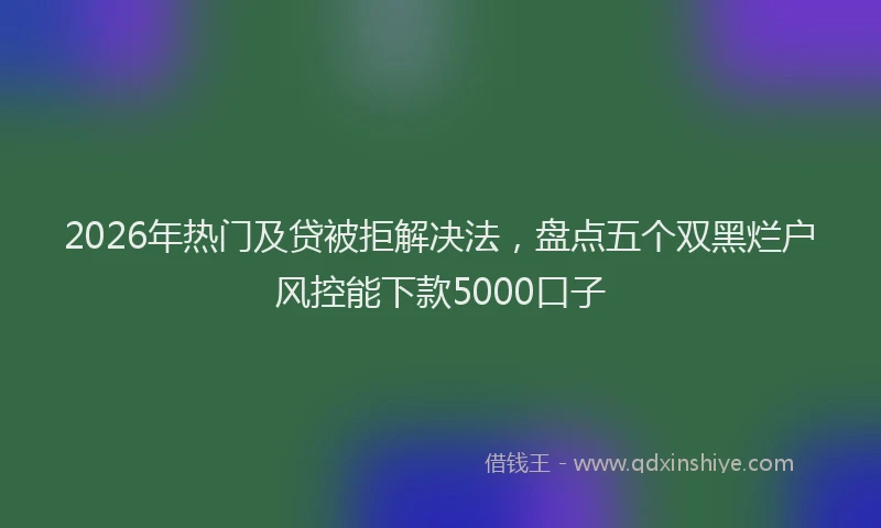 2026年热门及贷被拒解决法，盘点五个双黑烂户风控能下款5000口子