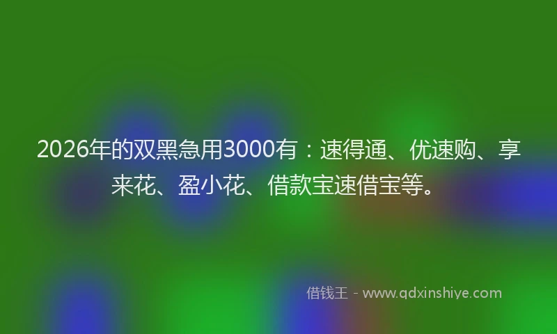 2026年的双黑急用3000有：速得通、优速购、享来花、盈小花、借款宝速借宝等。
