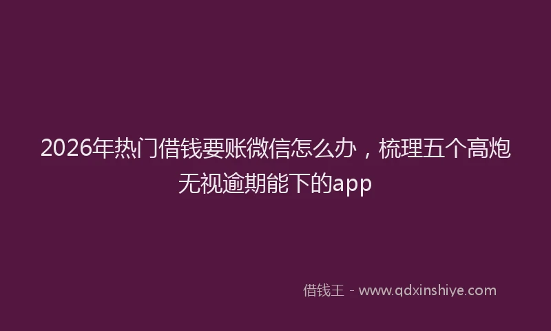 2026年热门借钱要账微信怎么办，梳理五个高炮无视逾期能下的app