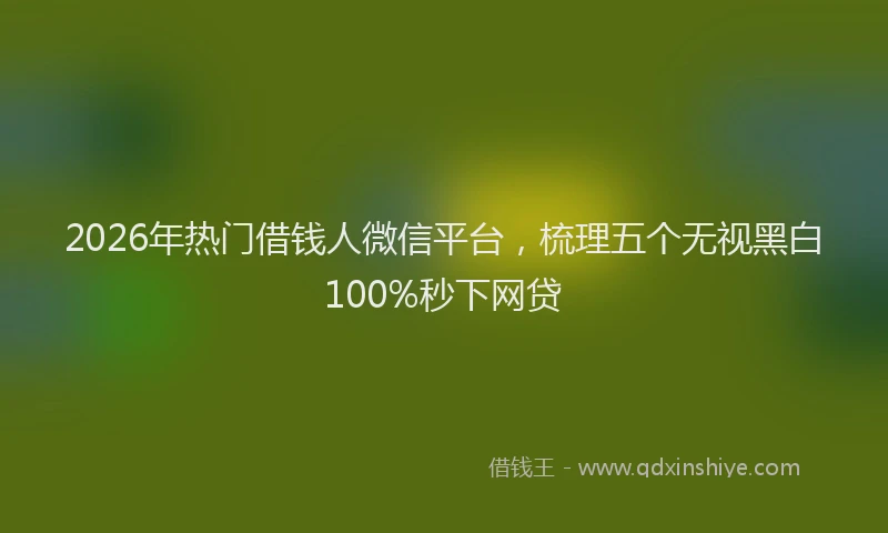 2026年热门借钱人微信平台，梳理五个无视黑白100%秒下网贷
