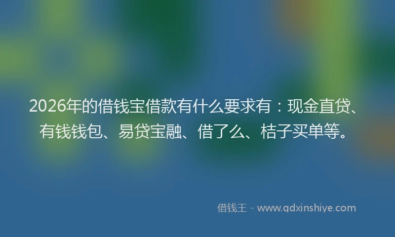2026年的借钱宝借款有什么要求有：现金直贷、有钱钱包、易贷宝融、借了么、桔子买单等。