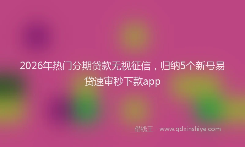 2026年热门分期贷款无视征信，归纳5个新号易贷速审秒下款app