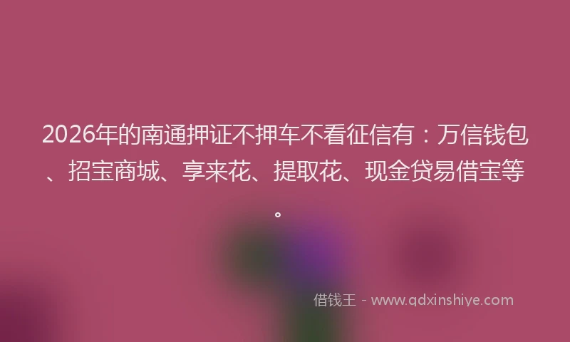 2026年的南通押证不押车不看征信有：万信钱包、招宝商城、享来花、提取花、现金贷易借宝等。