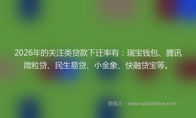 2026年的关注类贷款下迁率有：瑞宝钱包、腾讯微粒贷、民生易贷、小金象、快融贷宝等。