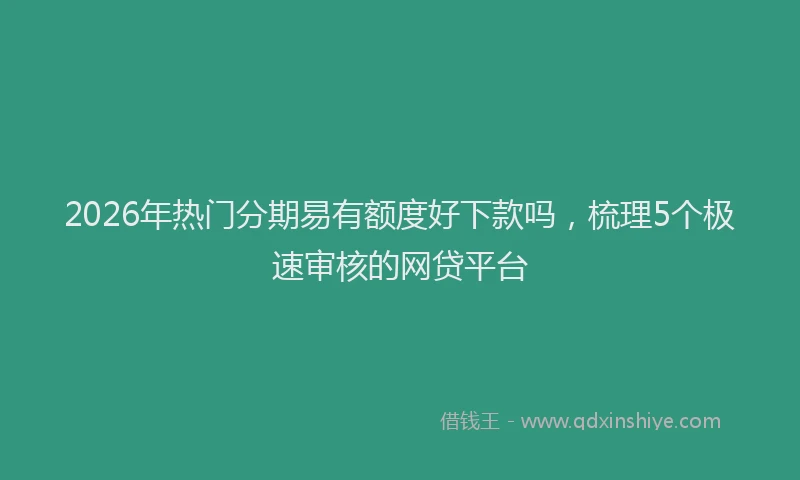 2026年热门分期易有额度好下款吗，梳理5个极速审核的网贷平台