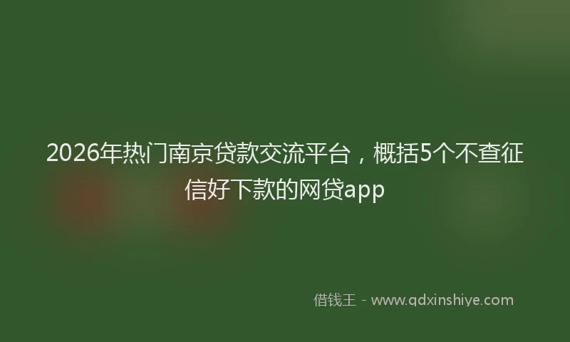 2026年热门南京贷款交流平台，概括5个不查征信好下款的网贷app