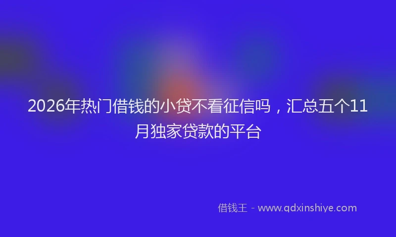 2026年热门借钱的小贷不看征信吗，汇总五个11月独家贷款的平台