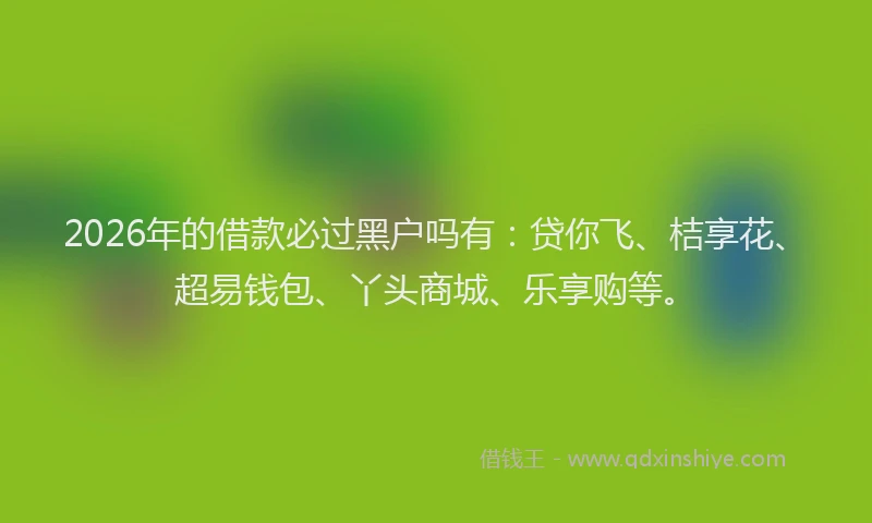 2026年的借款必过黑户吗有：贷你飞、桔享花、超易钱包、丫头商城、乐享购等。