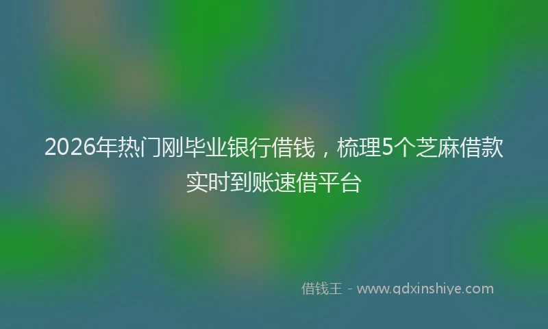 2026年热门刚毕业银行借钱，梳理5个芝麻借款实时到账速借平台