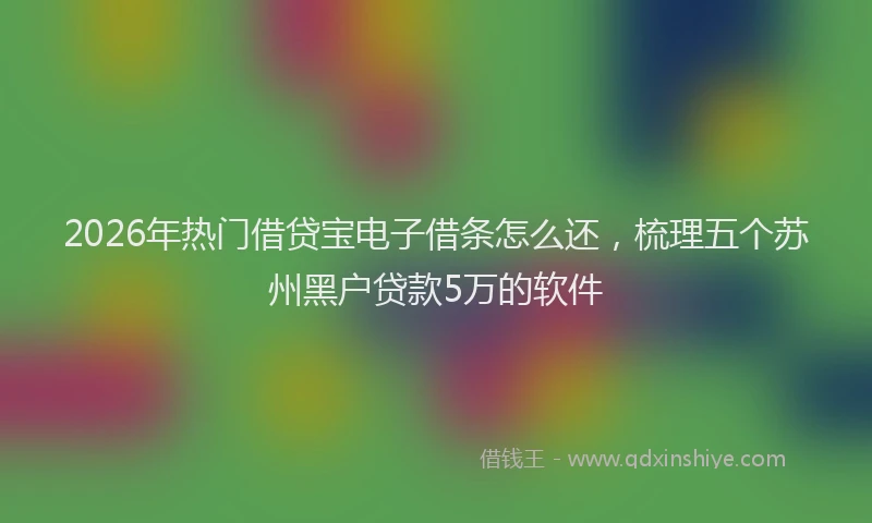 2026年热门借贷宝电子借条怎么还，梳理五个苏州黑户贷款5万的软件