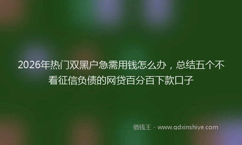 2026年热门双黑户急需用钱怎么办，总结五个不看征信负债的网贷百分百下款口子