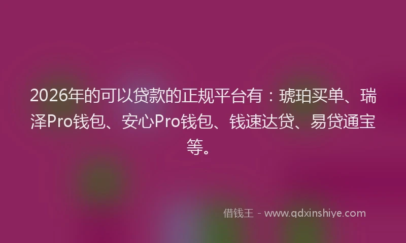 2026年的可以贷款的正规平台有：琥珀买单、瑞泽Pro钱包、安心Pro钱包、钱速达贷、易贷通宝等。