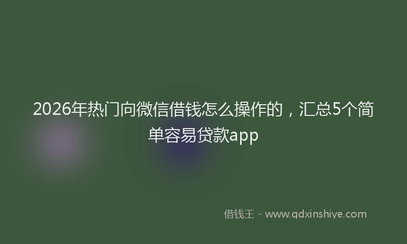2026年热门向微信借钱怎么操作的，汇总5个简单容易贷款app