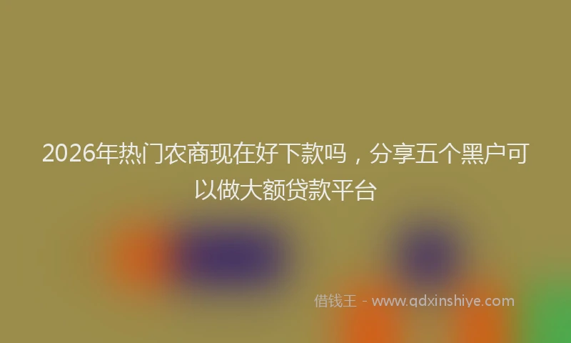 2026年热门农商现在好下款吗，分享五个黑户可以做大额贷款平台