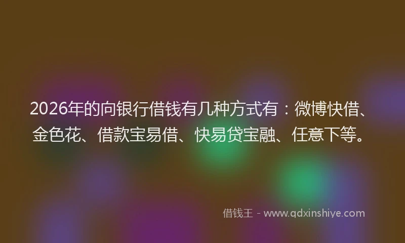 2026年的向银行借钱有几种方式有：微博快借、金色花、借款宝易借、快易贷宝融、任意下等。