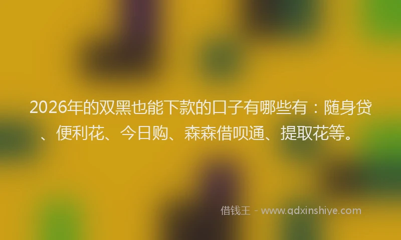 2026年的双黑也能下款的口子有哪些有：随身贷、便利花、今日购、森森借呗通、提取花等。