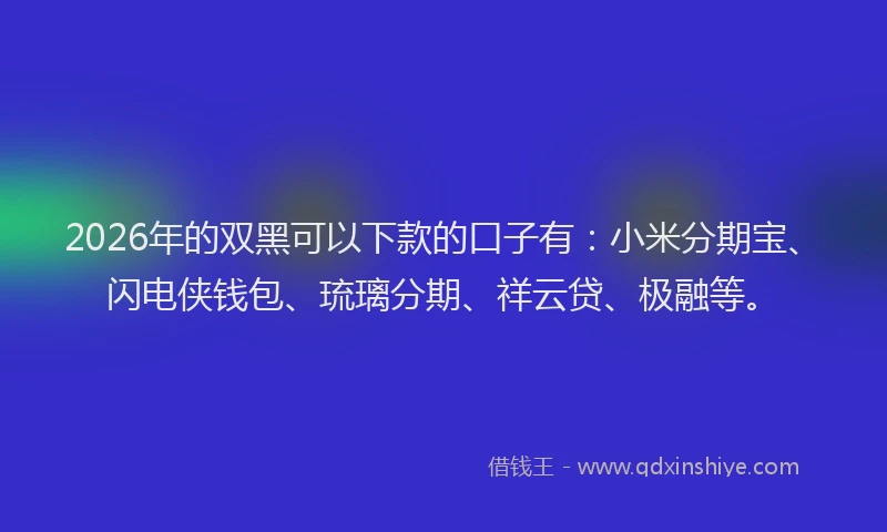 2026年的双黑可以下款的口子有：小米分期宝、闪电侠钱包、琉璃分期、祥云贷、极融等。
