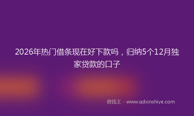 2026年热门借条现在好下款吗，归纳5个12月独家贷款的口子