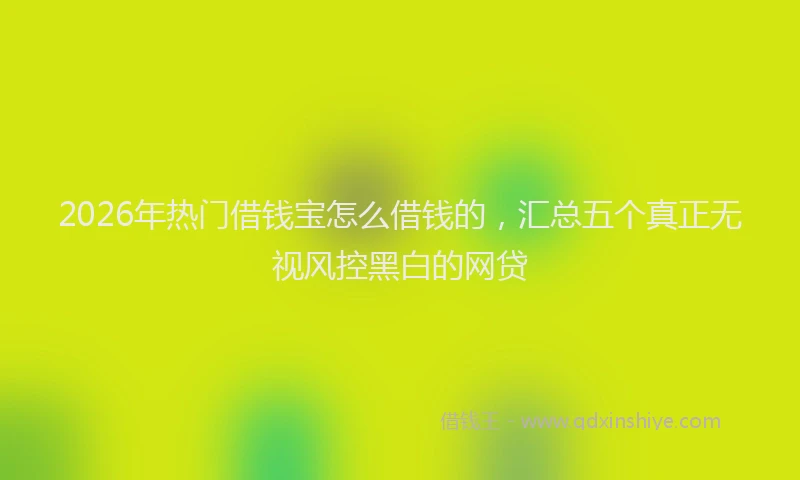2026年热门借钱宝怎么借钱的，汇总五个真正无视风控黑白的网贷