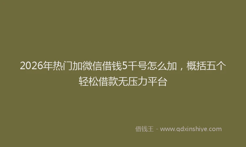 2026年热门加微信借钱5千号怎么加，概括五个轻松借款无压力平台