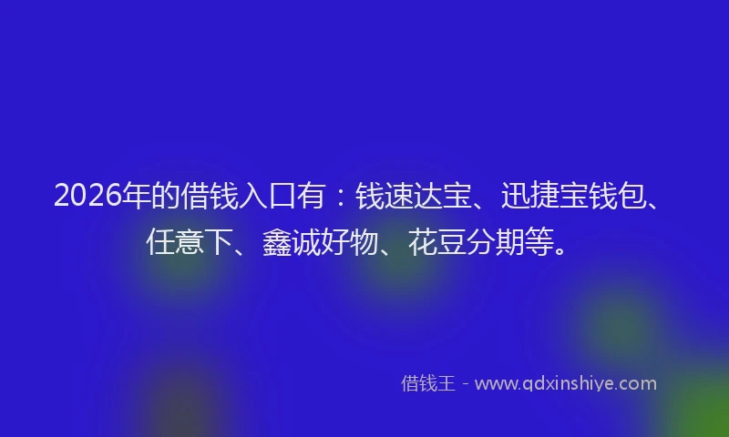 2026年的借钱入口有：钱速达宝、迅捷宝钱包、任意下、鑫诚好物、花豆分期等。