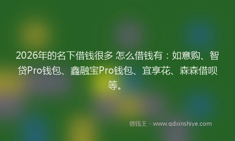 2026年的名下借钱很多 怎么借钱有：如意购、智贷Pro钱包、鑫融宝Pro钱包、宜享花、森森借呗等。