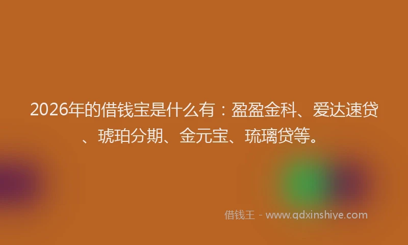 2026年的借钱宝是什么有：盈盈金科、爱达速贷、琥珀分期、金元宝、琉璃贷等。