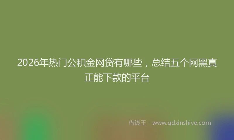 2026年热门公积金网贷有哪些，总结五个网黑真正能下款的平台