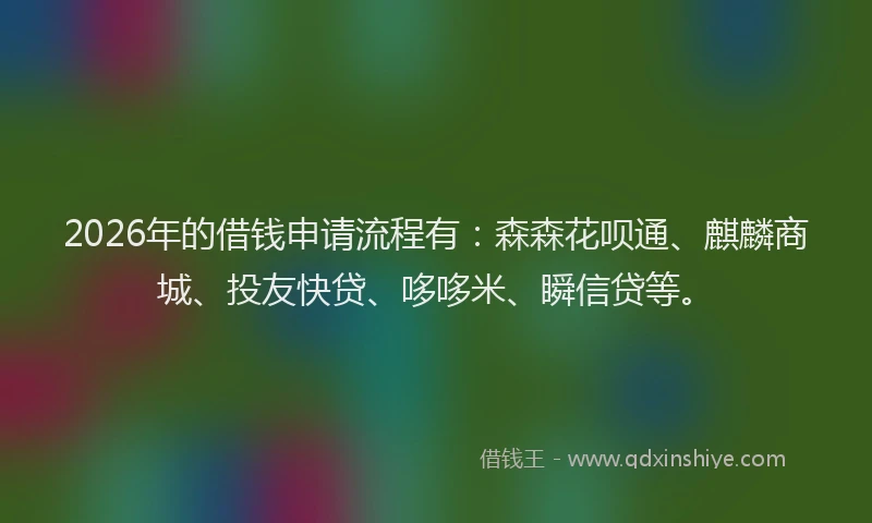 2026年的借钱申请流程有：森森花呗通、麒麟商城、投友快贷、哆哆米、瞬信贷等。