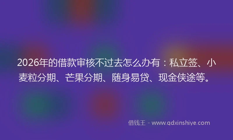 2026年的借款审核不过去怎么办有：私立签、小麦粒分期、芒果分期、随身易贷、现金侠途等。