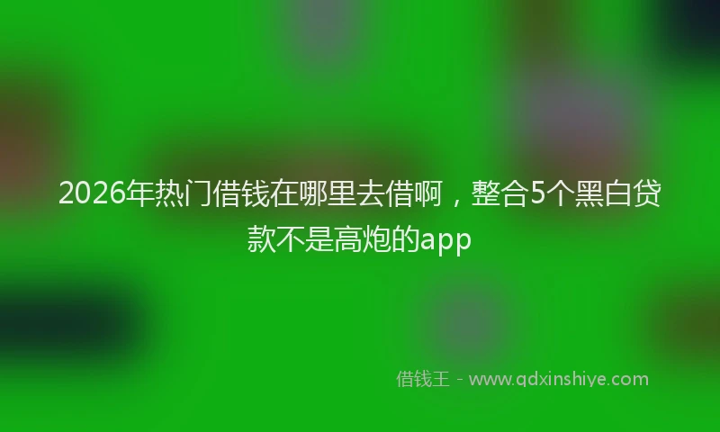2026年热门借钱在哪里去借啊，整合5个黑白贷款不是高炮的app