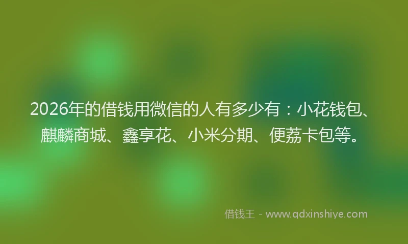 2026年的借钱用微信的人有多少有：小花钱包、麒麟商城、鑫享花、小米分期、便荔卡包等。