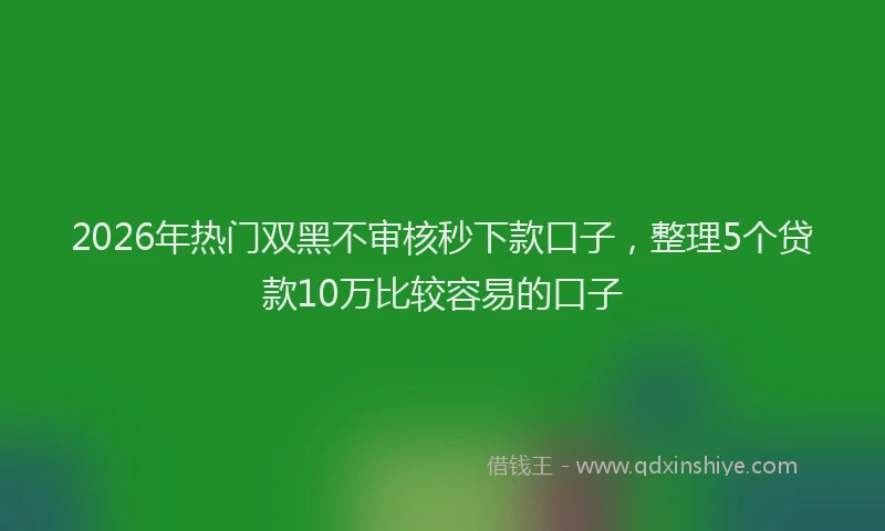 2026年热门双黑不审核秒下款口子，整理5个贷款10万比较容易的口子