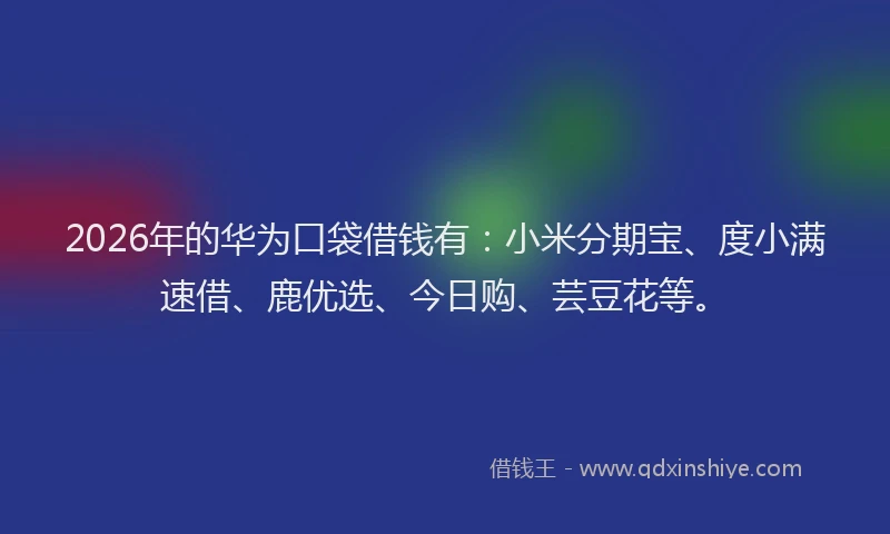 2026年的华为口袋借钱有：小米分期宝、度小满速借、鹿优选、今日购、芸豆花等。