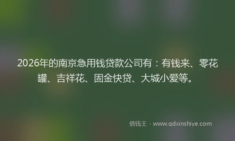 2026年的南京急用钱贷款公司有：有钱来、零花罐、吉祥花、固金快贷、大城小爱等。