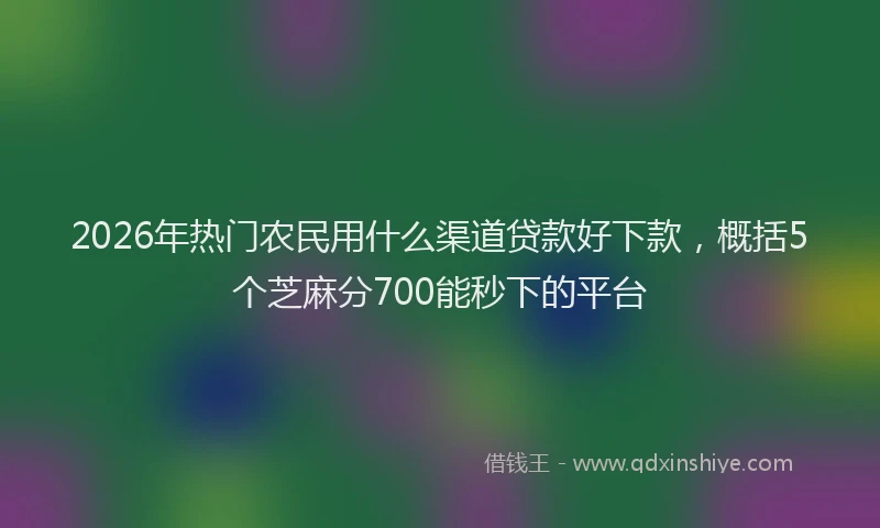 2026年热门农民用什么渠道贷款好下款，概括5个芝麻分700能秒下的平台