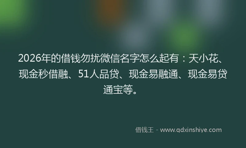 2026年的借钱勿扰微信名字怎么起有：天小花、现金秒借融、51人品贷、现金易融通、现金易贷通宝等。