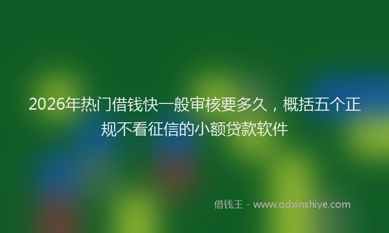 2026年热门借钱快一般审核要多久，概括五个正规不看征信的小额贷款软件
